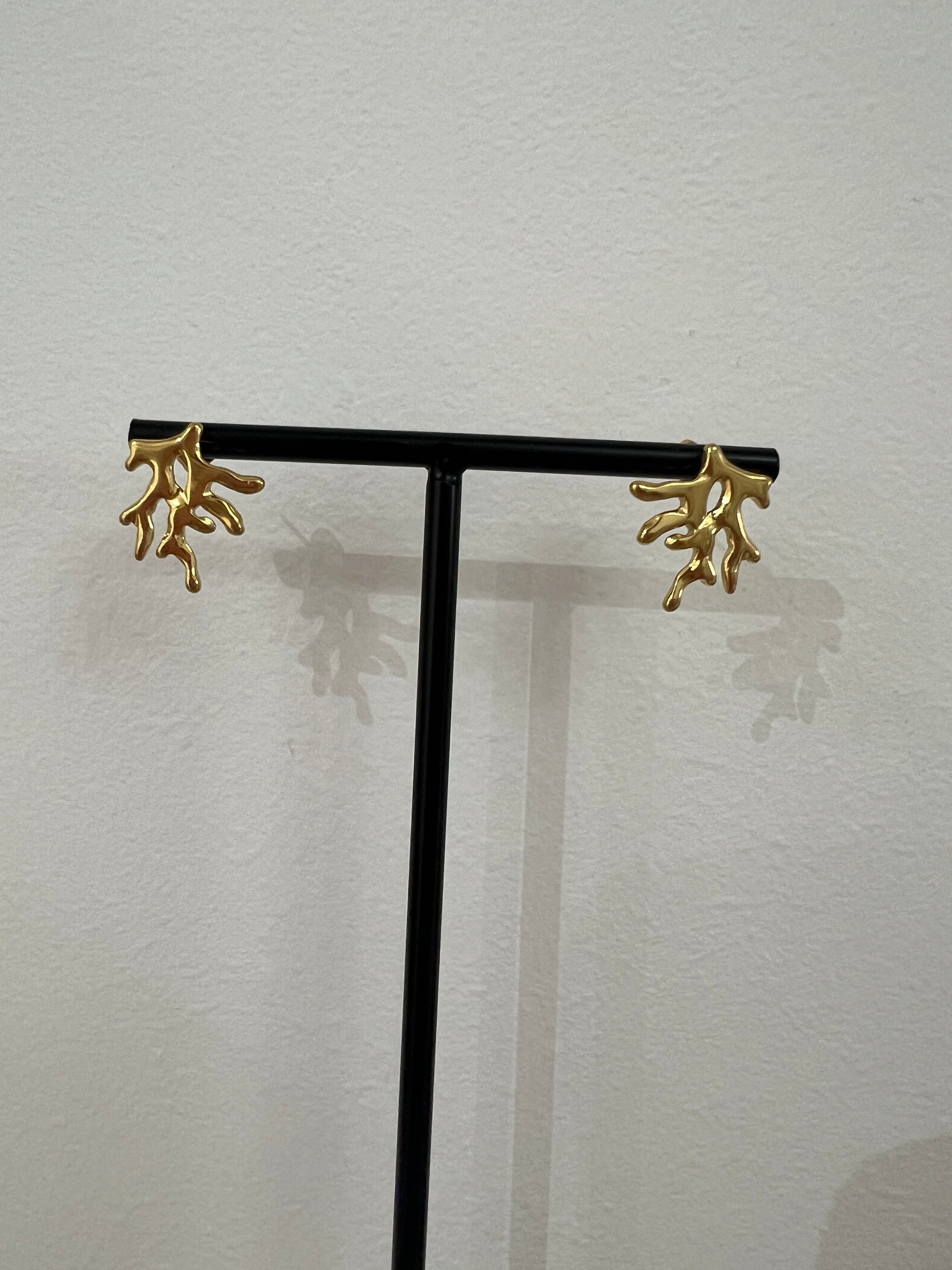 Pendientes rama